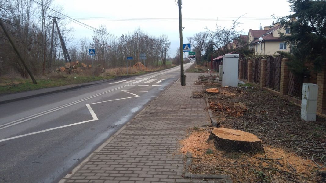 droga Szczecin Warnik wycinka drzew