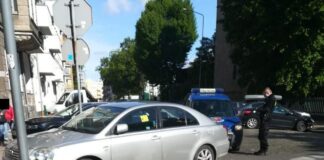 straż miejska Szczecin parkowanie blokady mandaty maj 2020