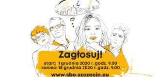 Budżet Obywatelski, projekt Szczecińskich Gryfków