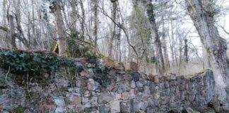 Mur w Chełmie Dolnym