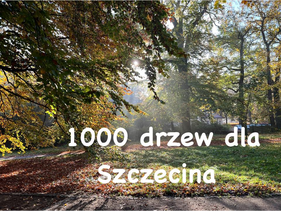 1000 drzew dla Szczecina