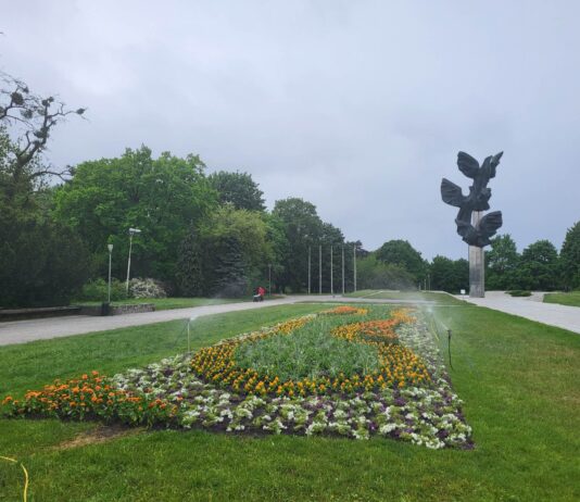 Szczecin w kwiatach