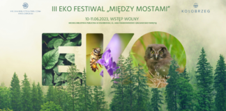 Eko Festiwal Między Mostami
