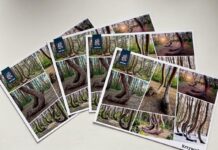 Krzywy Las na nowym znaczku pocztowym