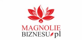 Plebiscyt Magnolie Biznesu