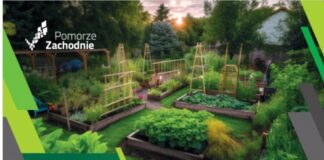 Konkurs "Przyjazne Ogrody 2024" ma zachęcić społeczności lokalne do aktywnego działania na rzecz poprawy atrakcyjności rodzinnych ogrodów działkowych.