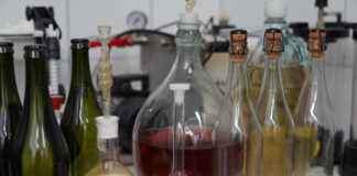 Studenci ZUT będą produkować wino